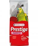 Parrots 15kg velký papoušek