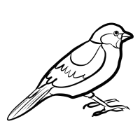 Venkovní ptactvo