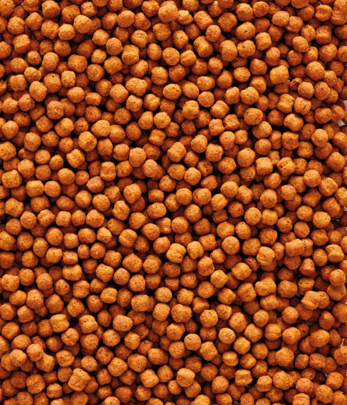 Versele-Laga Nutribird T20 10kg