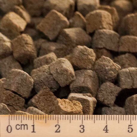 Bohemia Baked Adult Lamb 10kg