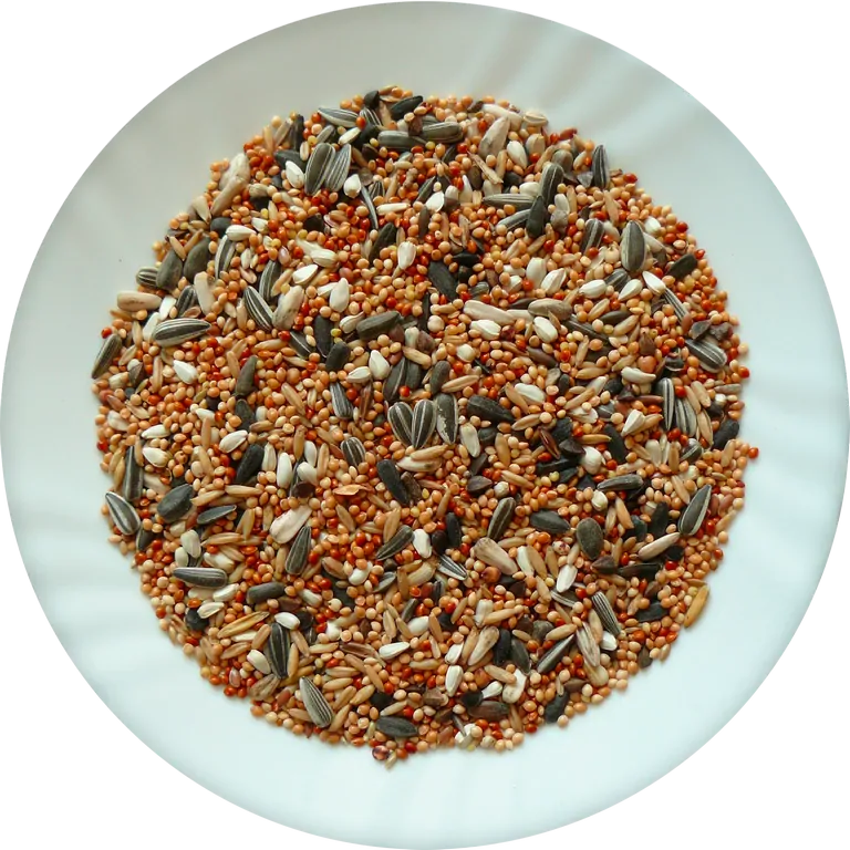 Avicentra Classic Menu malý papoušek 20kg