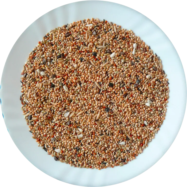 Avicentra Professional neoféma 20kg