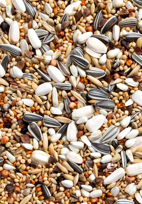 Deli Nature 69 - Large Parakeets with Sunflower Seed 20kg