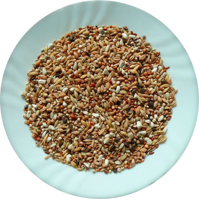 Avicentra Holub super dieta 25kg