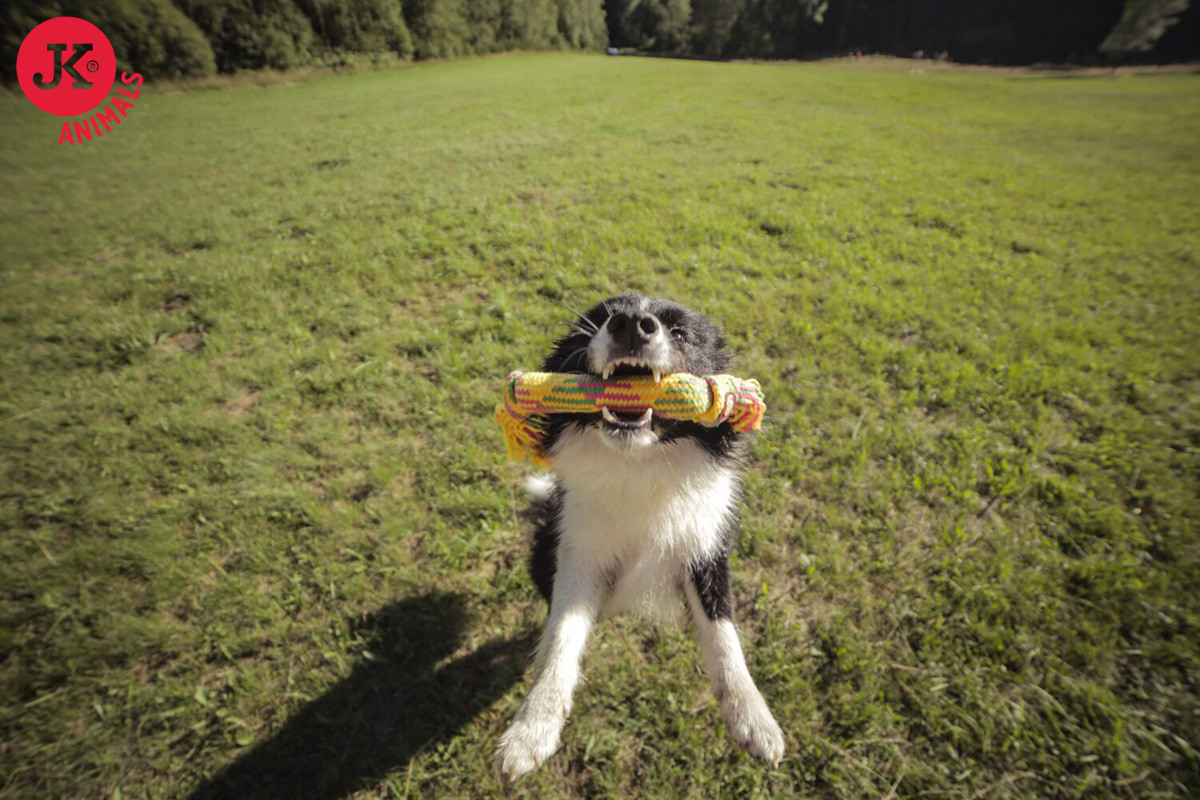 JK Animals Bavlněný pískací uzel 40cm