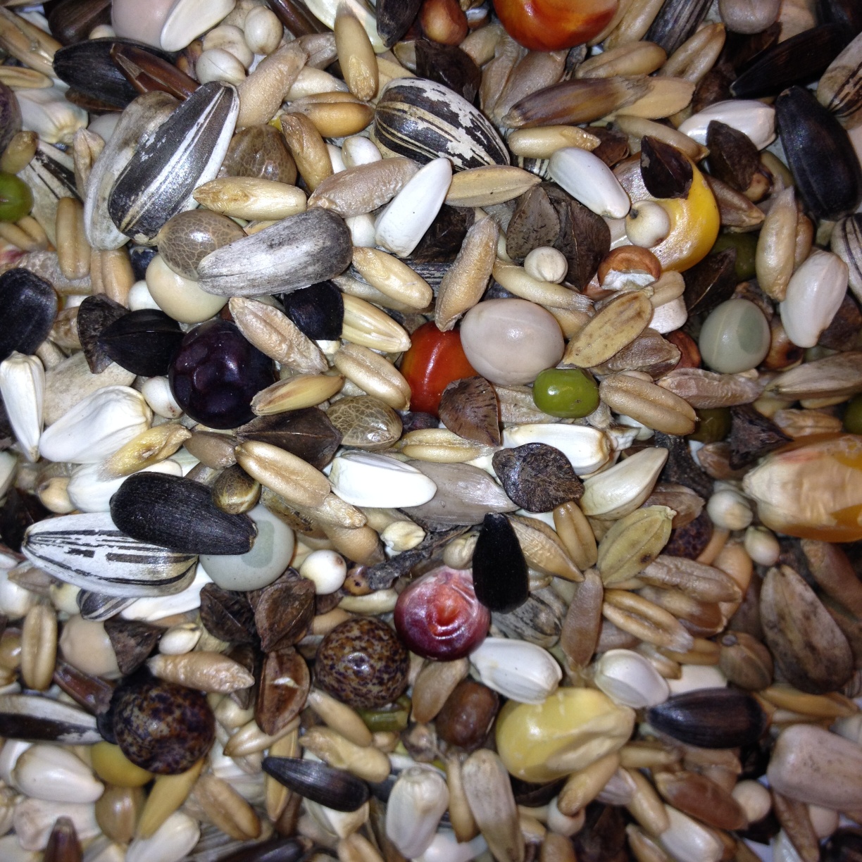 Avest Namáčecí směs 21 20kg