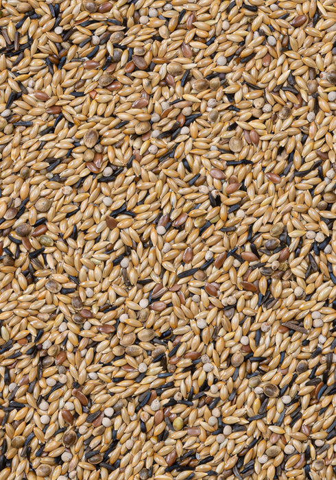 Deli Nature 54 - Canaries Breeding with White Perilla 20kg