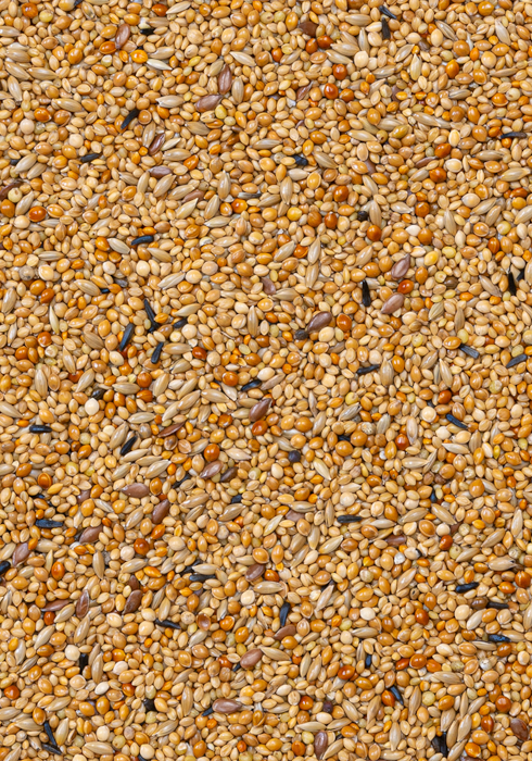 Deli Nature 41 - Foreign Finches Breeding 20kg