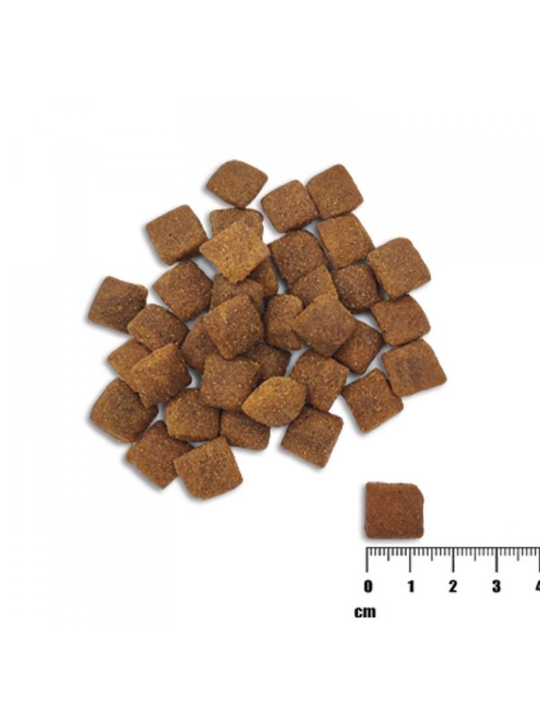 VetExpert Raw Paleo Healthy Grain Adult Lamb