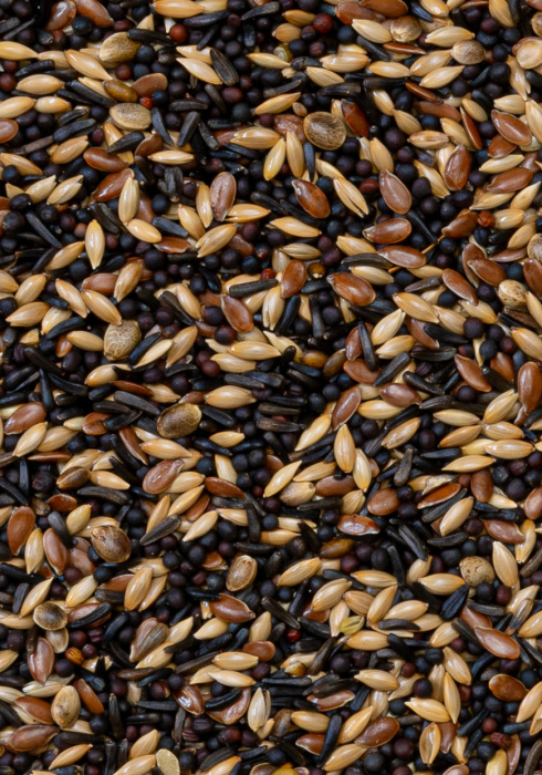 Deli Nature 48 - Siskins and Goldfinches 20kg