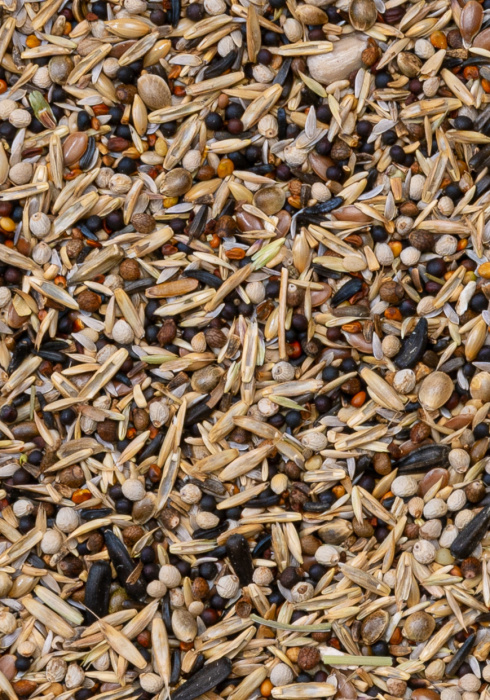 Deli Nature 49 - Siskins 15kg