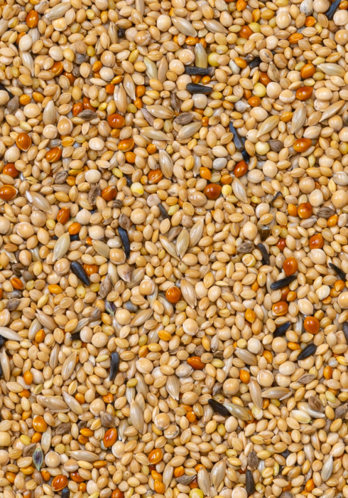 Deli Nature 56 - Foreign Finches Super 20kg