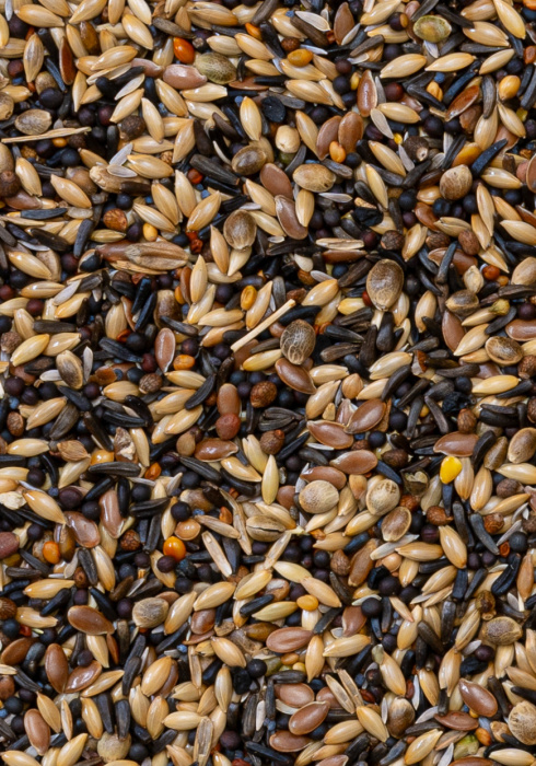 Deli Nature 58 - Siskins and Goldfinches Supreme 20kg