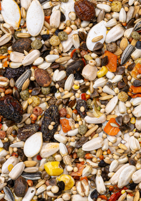 Deli Nature 61 - Amazon Brilliant 15kg