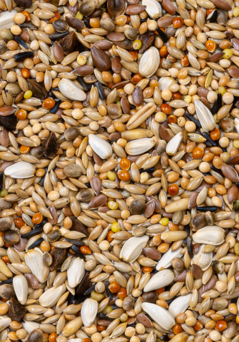 Deli Nature 72 - Agapornis Champion 20kg