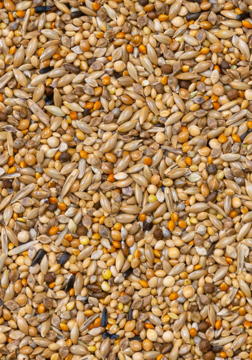 Deli Nature 84 - APV Gould 20kg