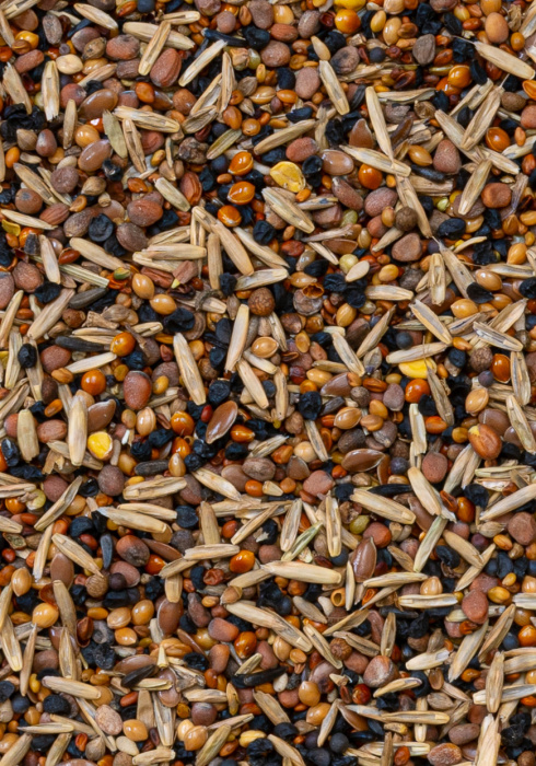 Deli Nature 94 - Wild Seeds 15kg