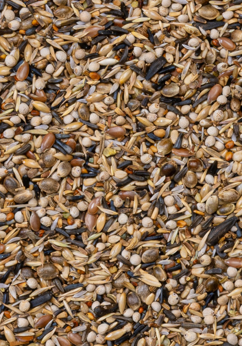 Deli Nature 97 - Goldfinch 15kg