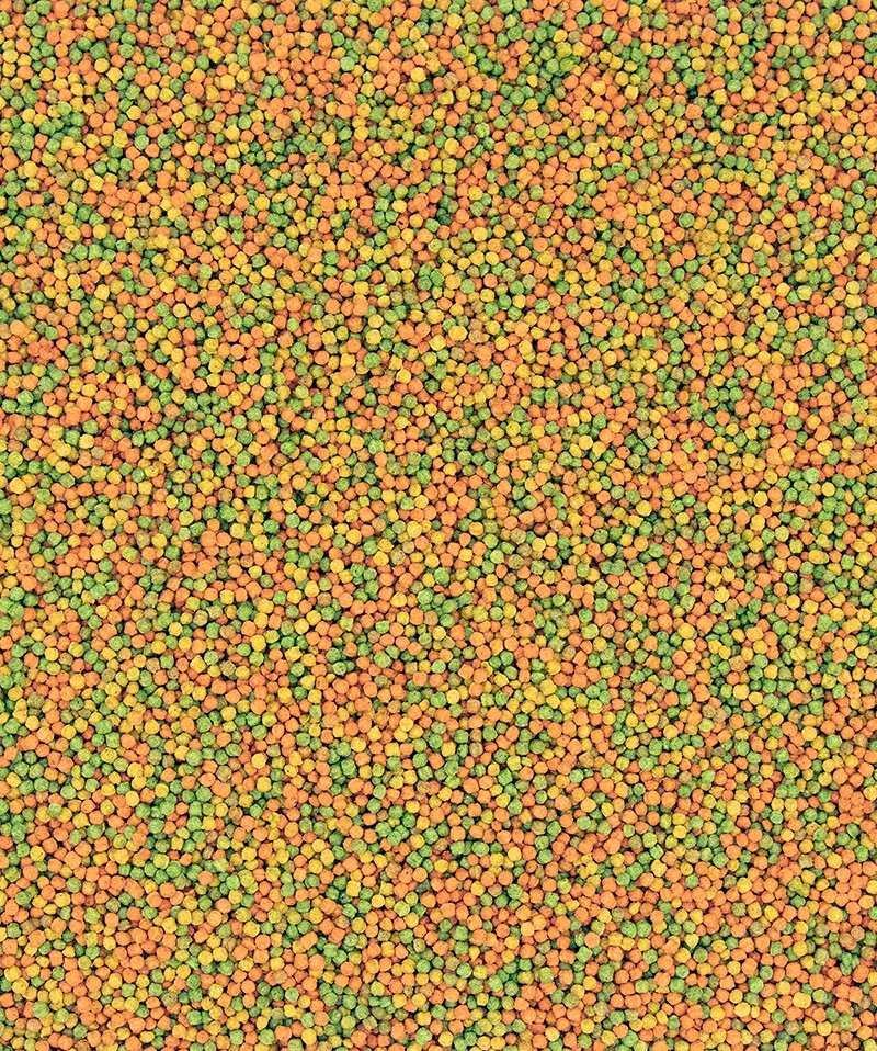 Versele-Laga Nutribird B18 10kg