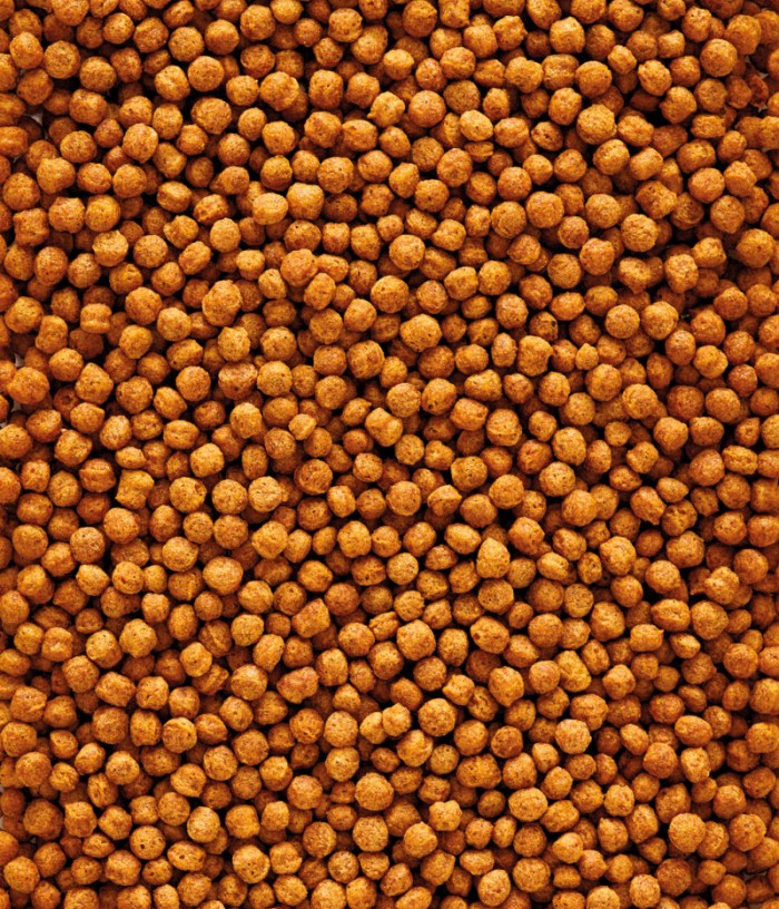 Versele-Laga Nutribird F16 10kg