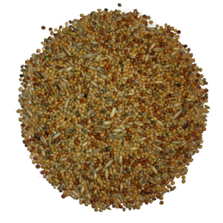 Avest Andulka 04 20kg