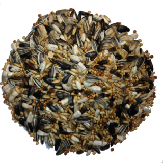 Avest Střední papoušek 08 20kg