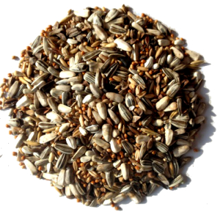 Avest Střední papoušek 10 20kg