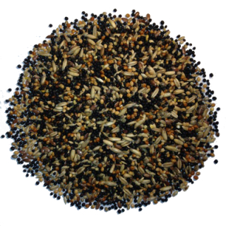 Avest Kanár 13 20kg