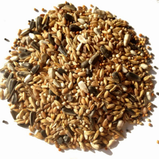 Avest Holub dieta 01 25kg