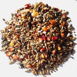 Avest Holub šampión 03 25kg